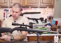 Ruger 10-22 Project Update