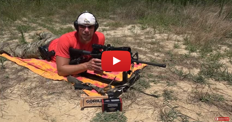 Spikes Tactical ST-15 from P3 Ultimate Shooting Rest
